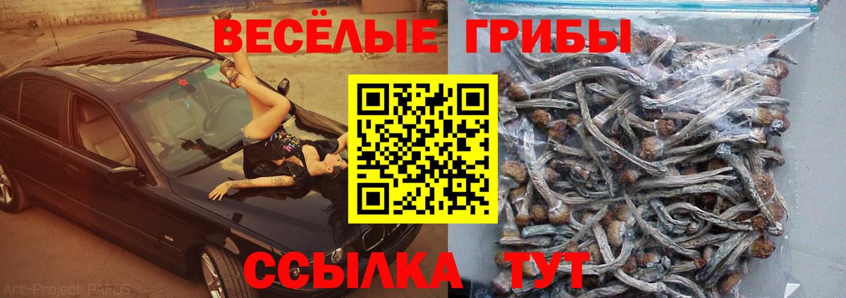 Галлюциногенные грибы прущие грибы Отрадный