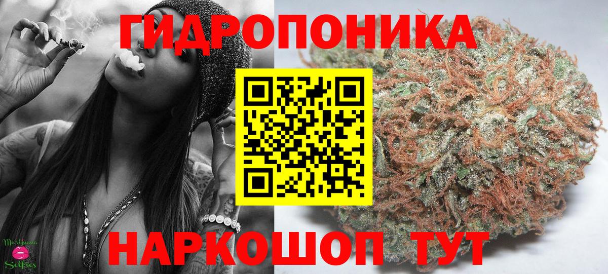 Бошки Шишки OG Kush Отрадный